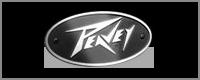 ����S��:����������˾Ʒ��peavey(����)
